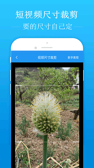 外卖小哥与迈巴赫相撞头插进引擎盖